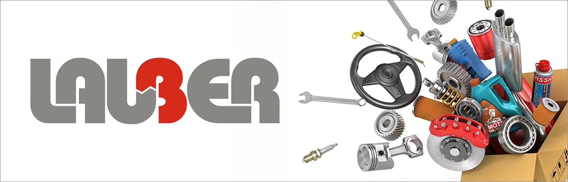 LAUBER El-system Katalog, som matchar Kolborste, startmotor för din bil